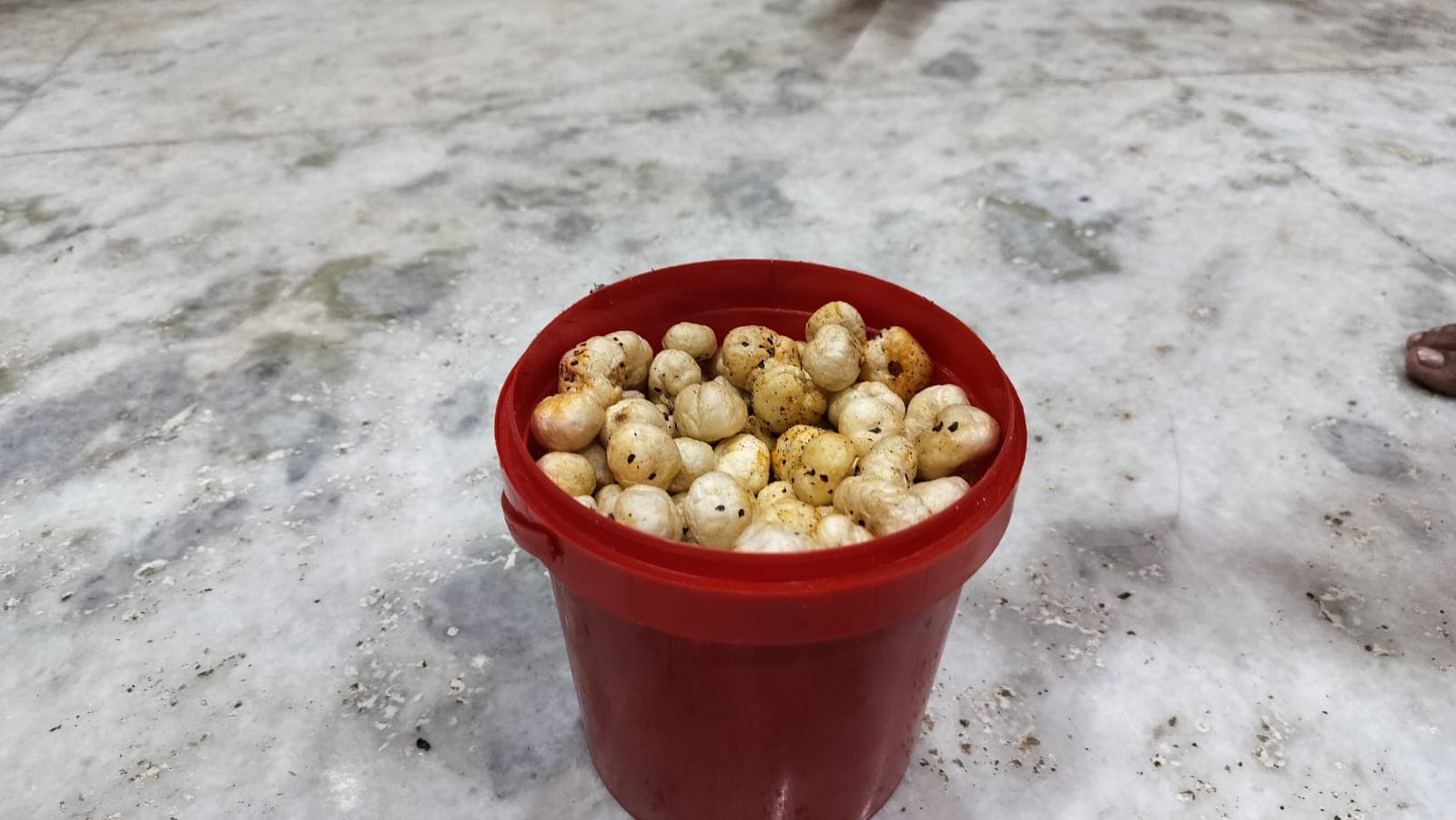 Salted Makhana